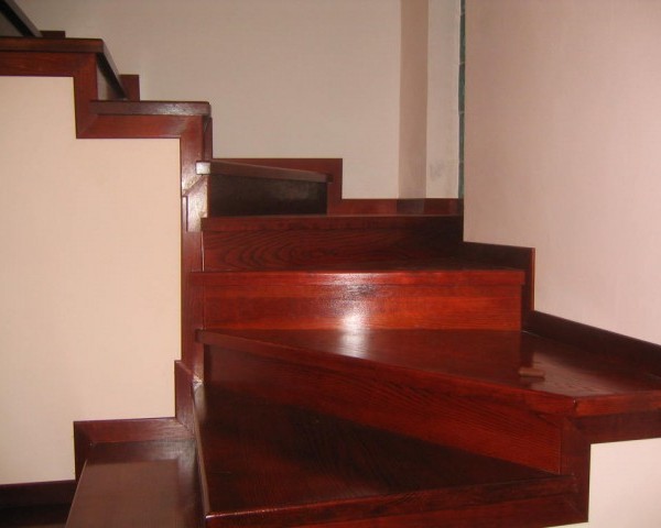 scara-mahonn-2895267